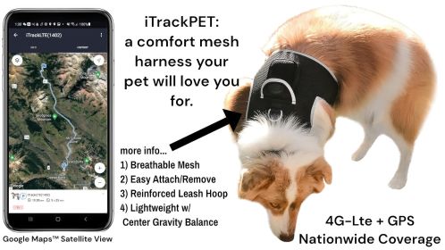 Mini Dog Collar GPS GSM Tracking System Waterproof Fashionable Tracker Size:XL