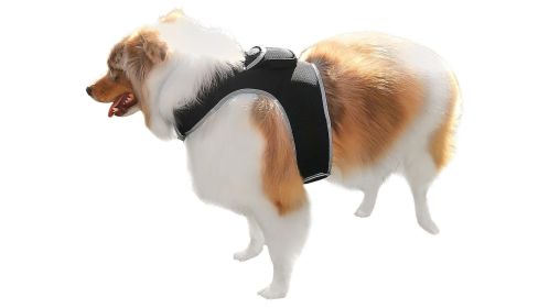 Pet Tracker Waterproof GSM GPS Dog Tracking Devices Wireless Pet Security Size:S
