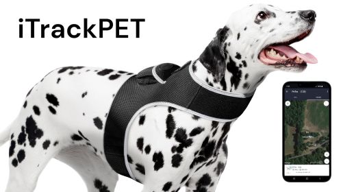 Easy Set Up GPS Dog Collar Tracking Device Waterproof Durable Tracker Size:M
